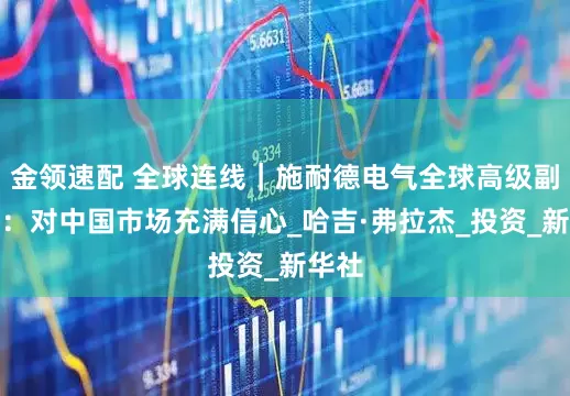 金领速配 全球连线｜施耐德电气全球高级副总裁：对中国市场充满信心_哈吉·弗拉杰_投资_新华社