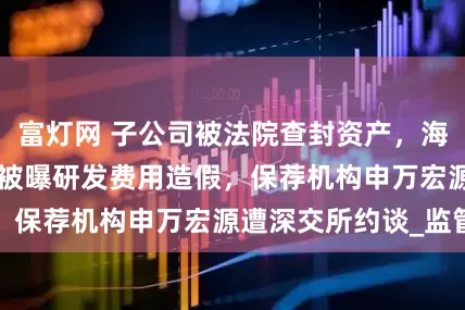 富灯网 子公司被法院查封资产，海诺尔创业板IPO被曝研发费用造假，保荐机构申万宏源遭深交所约谈_监管
