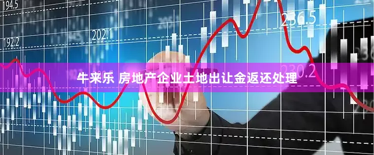 牛来乐 房地产企业土地出让金返还处理