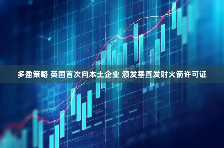 多盈策略 英国首次向本土企业 颁发垂直发射火箭许可证