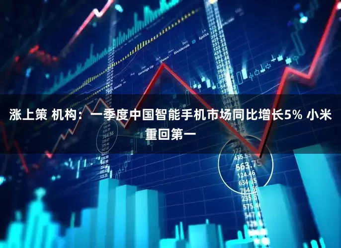 涨上策 机构：一季度中国智能手机市场同比增长5% 小米重回第一